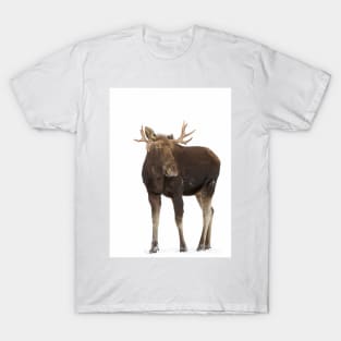 Moose in winter T-Shirt